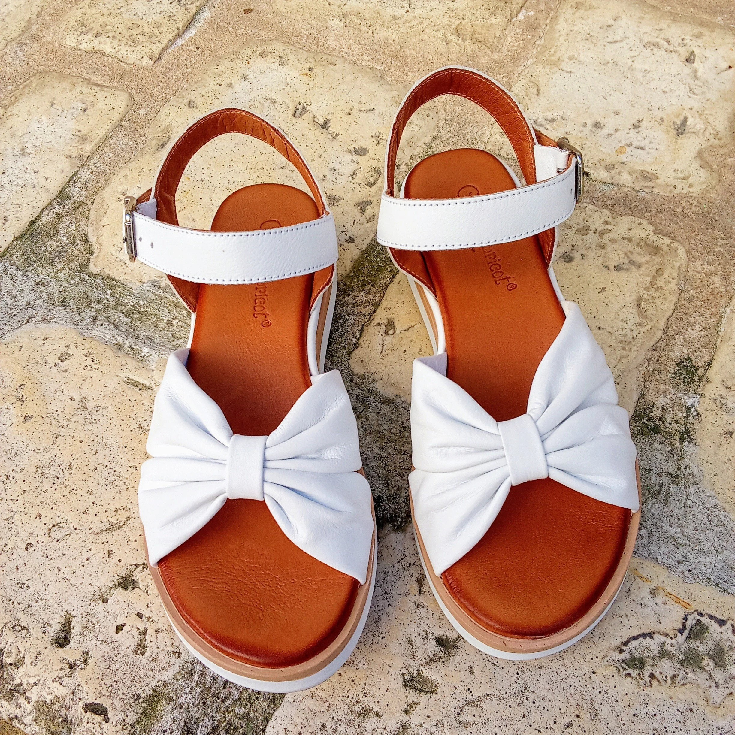 IMG_20260315_114439~2 (1).jpg