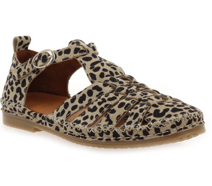 Capture d'écran 2026-03-21 125858.png