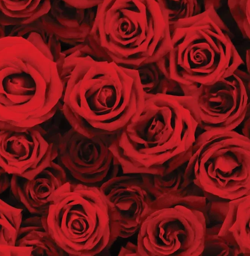 Capture d'écran 2026-02-13 150040.png