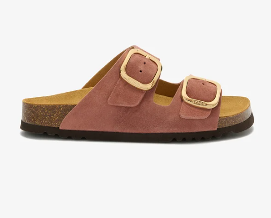 Capture d'écran 2026-03-20 143509.png