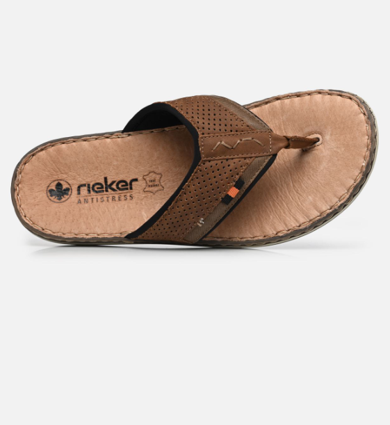 Capture d'écran 2026-03-25 184006.png