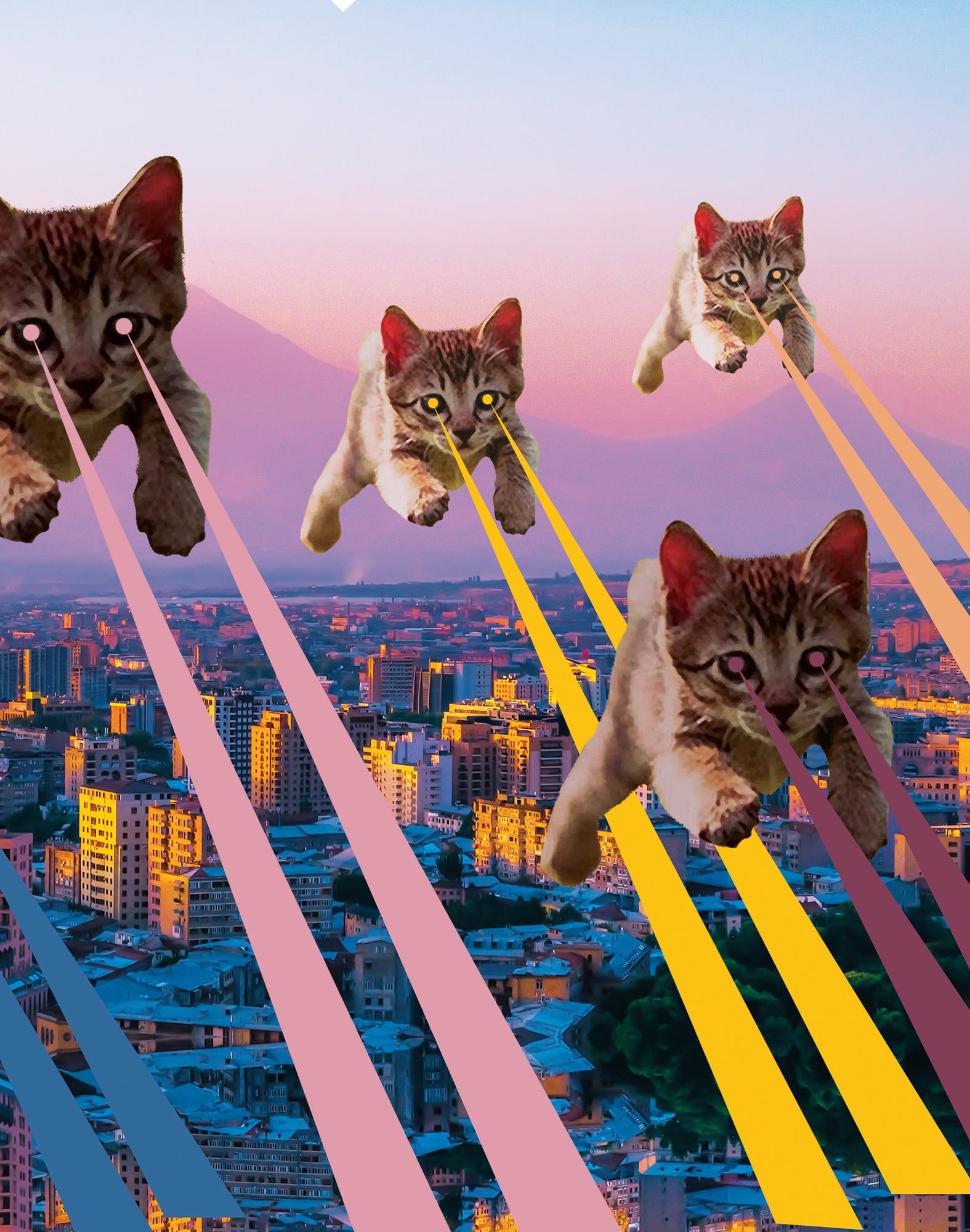 fa2-catattack-6.jpeg