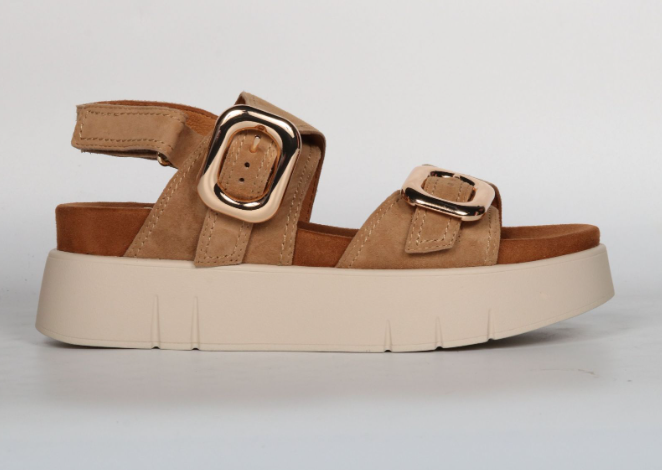 Capture d'écran 2026-04-21 172216.png