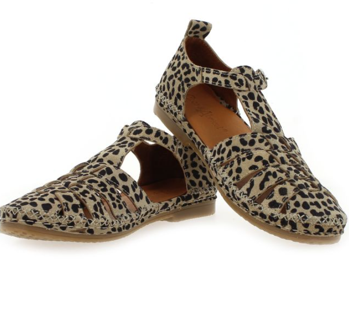 Capture d'écran 2026-03-21 125920.png