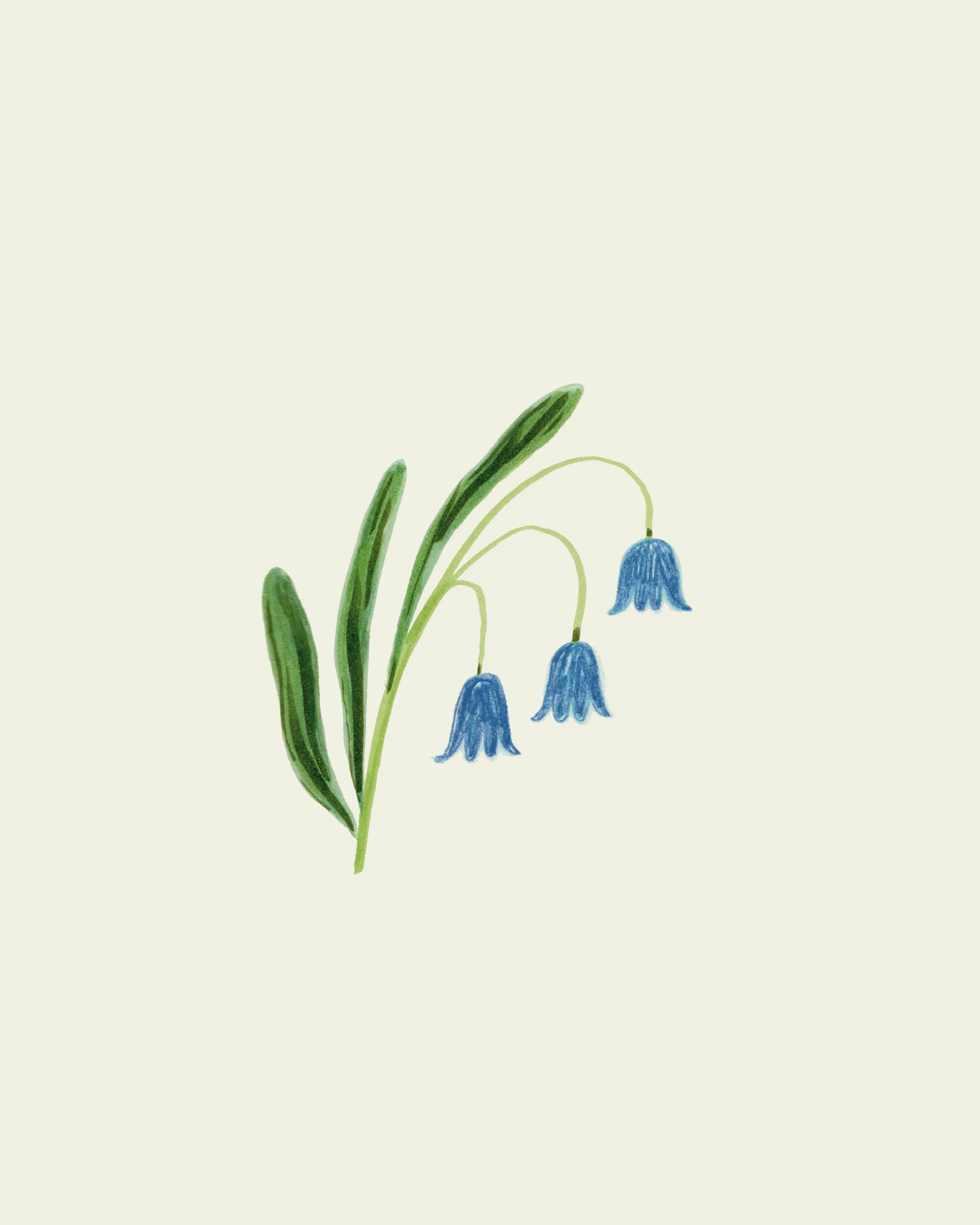 8 woodland walks