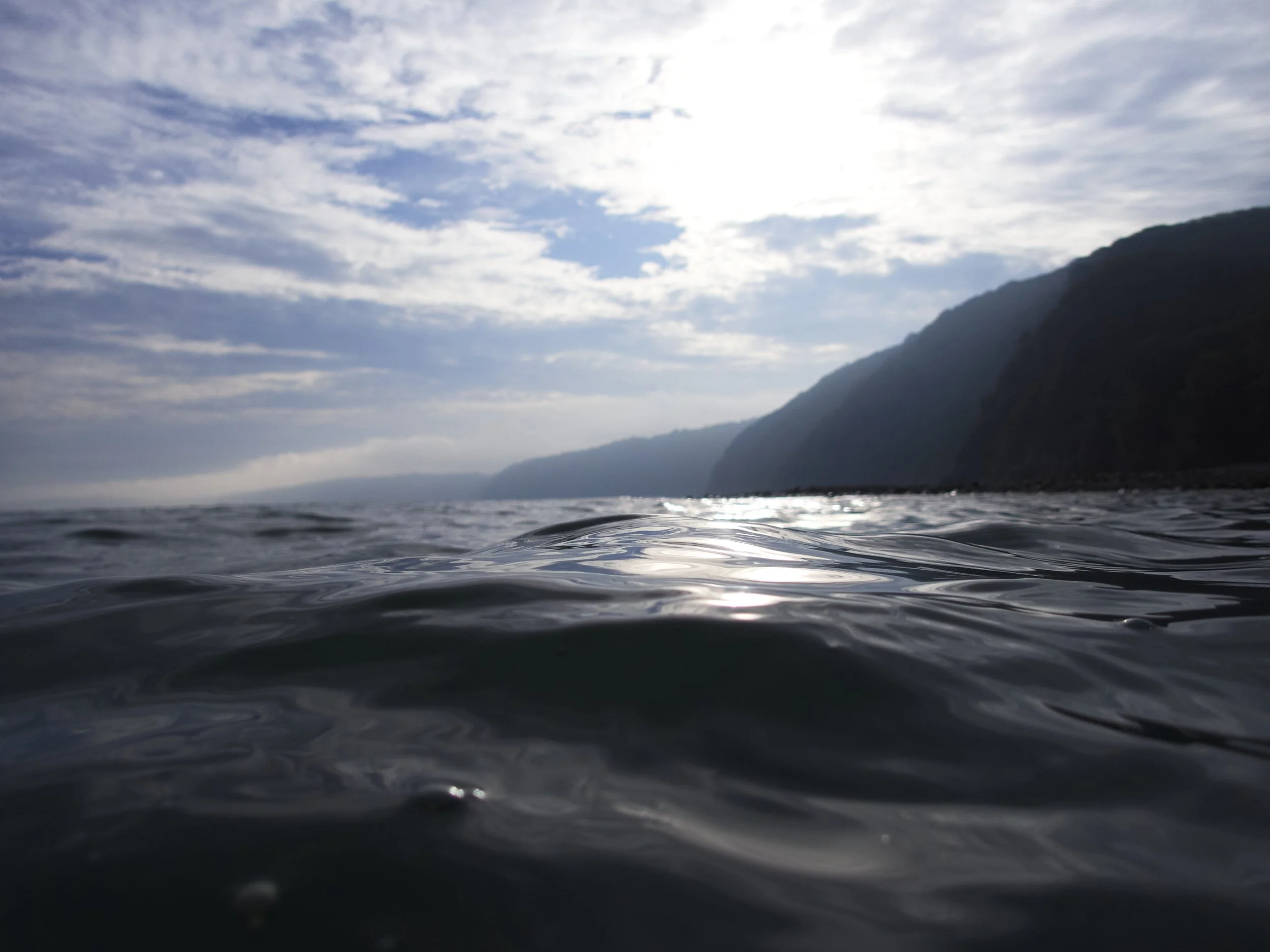 clovely swimming.jpg