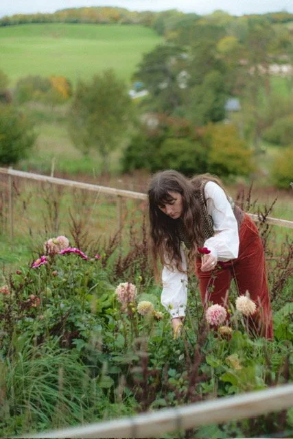How to create a serene garden
