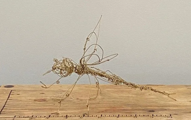 WORKSHOP: Lignes en liberté