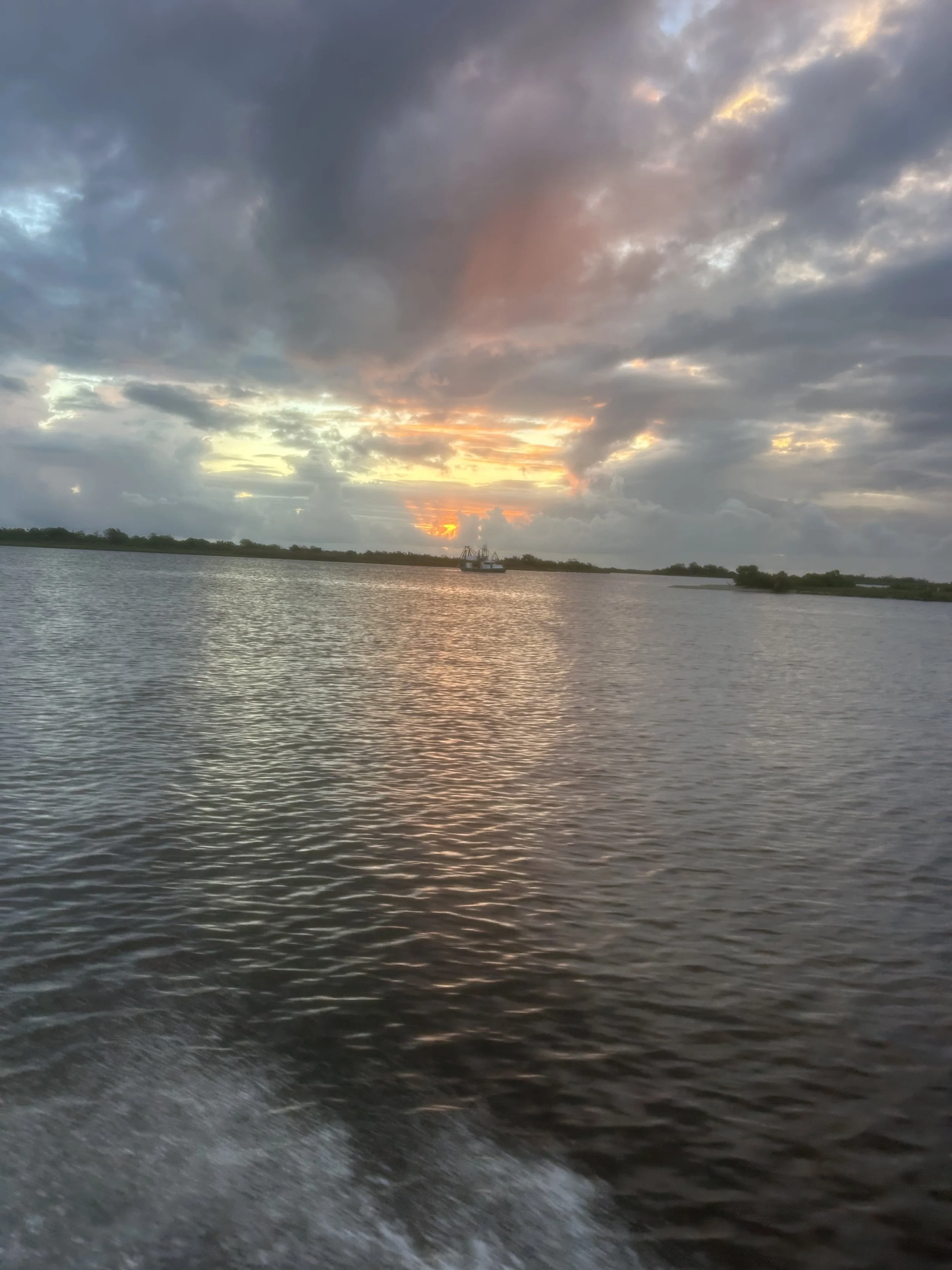 IMG_6933.jpeg