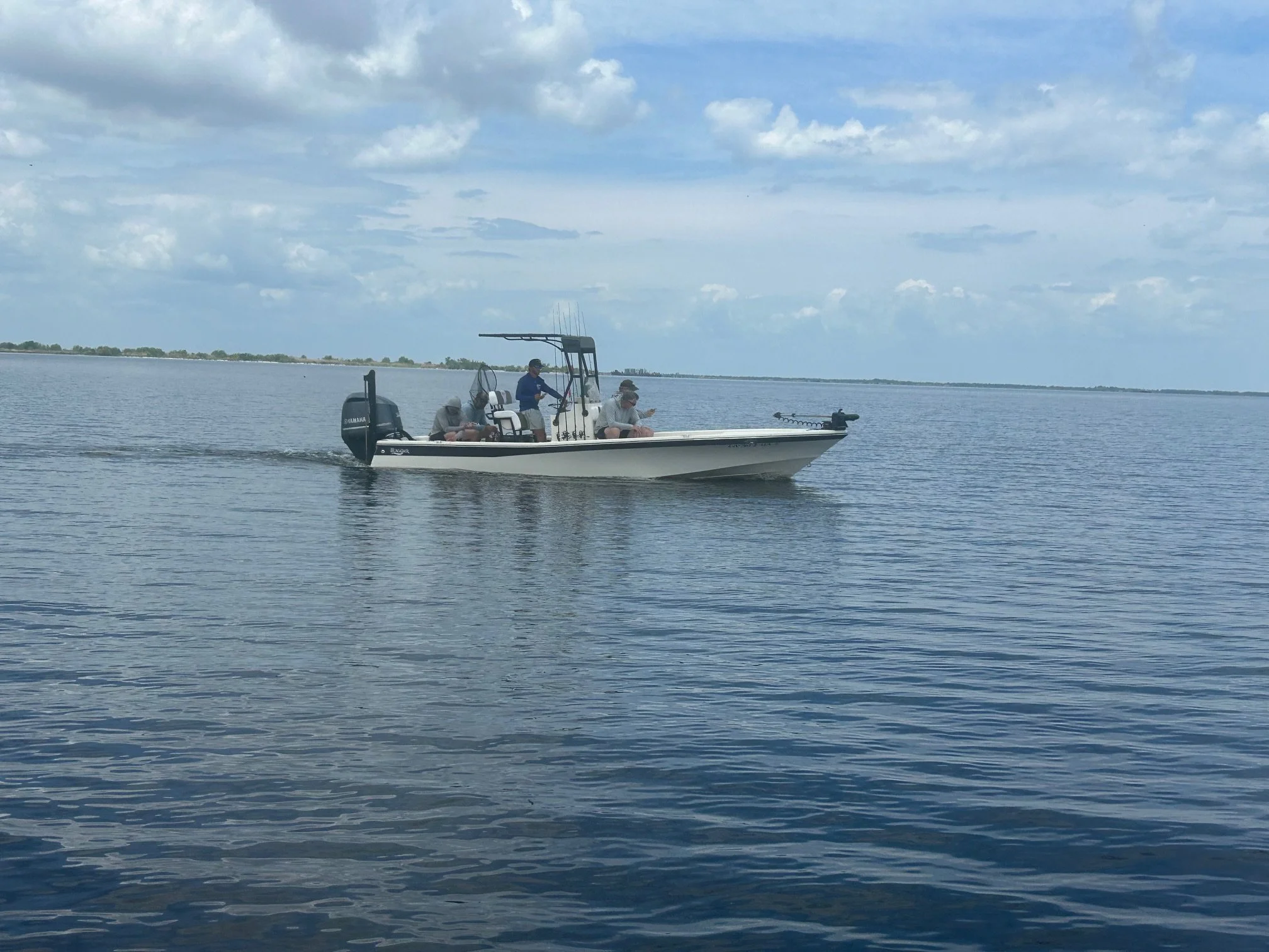 image4.jpeg