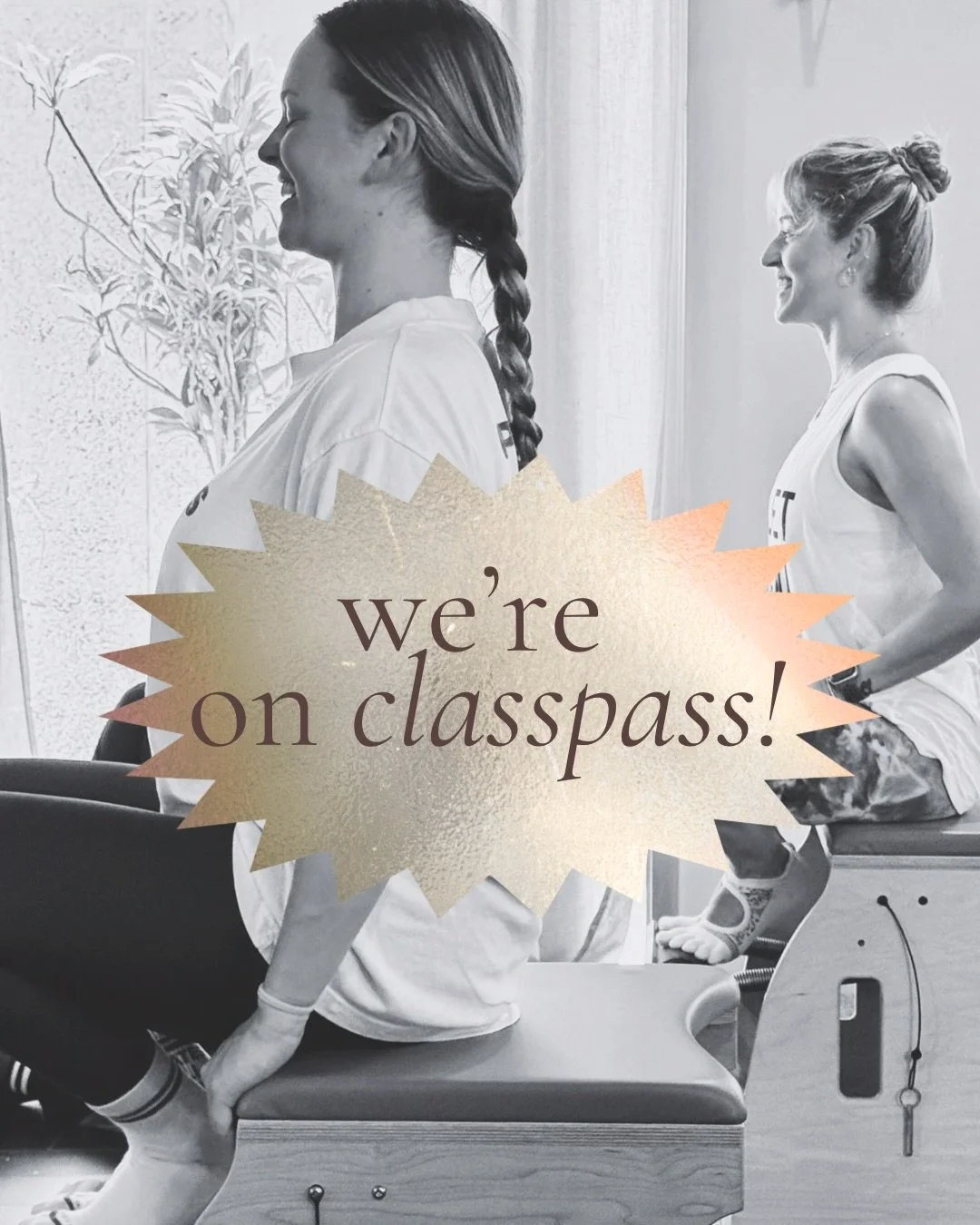 s w i p e  for a little update from the studio ✿
for our current clients + those just finding us through classpass 🤎 

we can&rsquo;t wait to move with you!

xx,
rbp