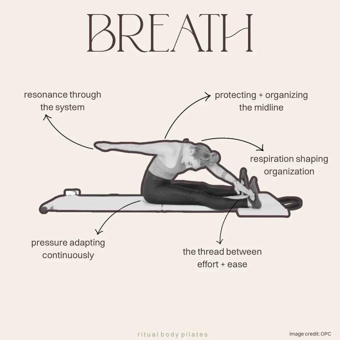 pilates principles: let&rsquo;s break em down 💅🏼

the breath is where pilates begins.

joseph pilates placed huge importance on the quality of breath. not as a rigid rule, but as a tool for changing the body from the inside out.
a full exhale chang