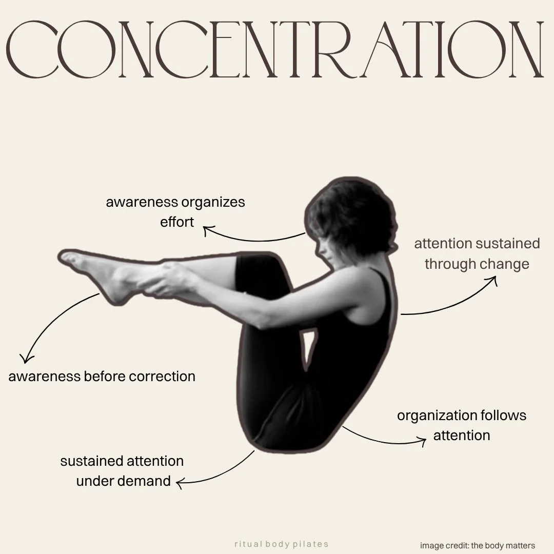 pilates principles: let&rsquo;s break em down 💅🏼

where attention goes, organization follows〰️

concentration in pilates is the ability to remain in conversation with the movement.
the body responds differently when attention is sustained - buildin