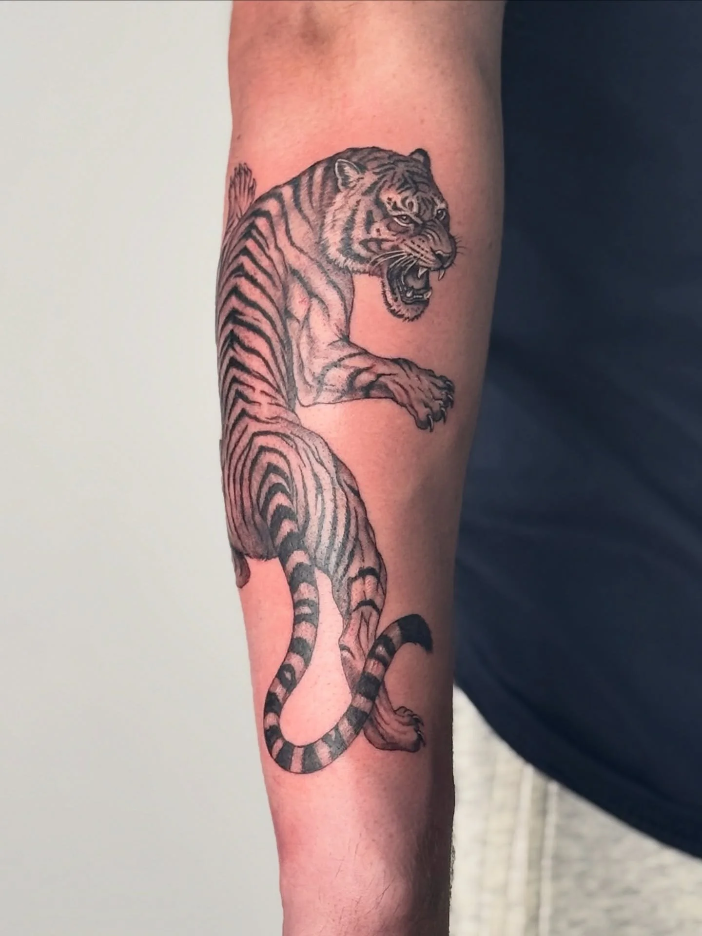 Definitely a new favourite 🐅
Swipe to see another tiger design available.
Thanks again for the trust Noah