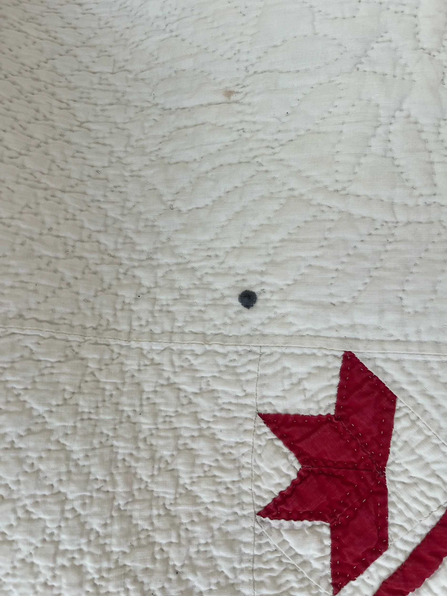 C3DFA27B-B7D8-40AD-B125-CA3F97848E9B.jpeg