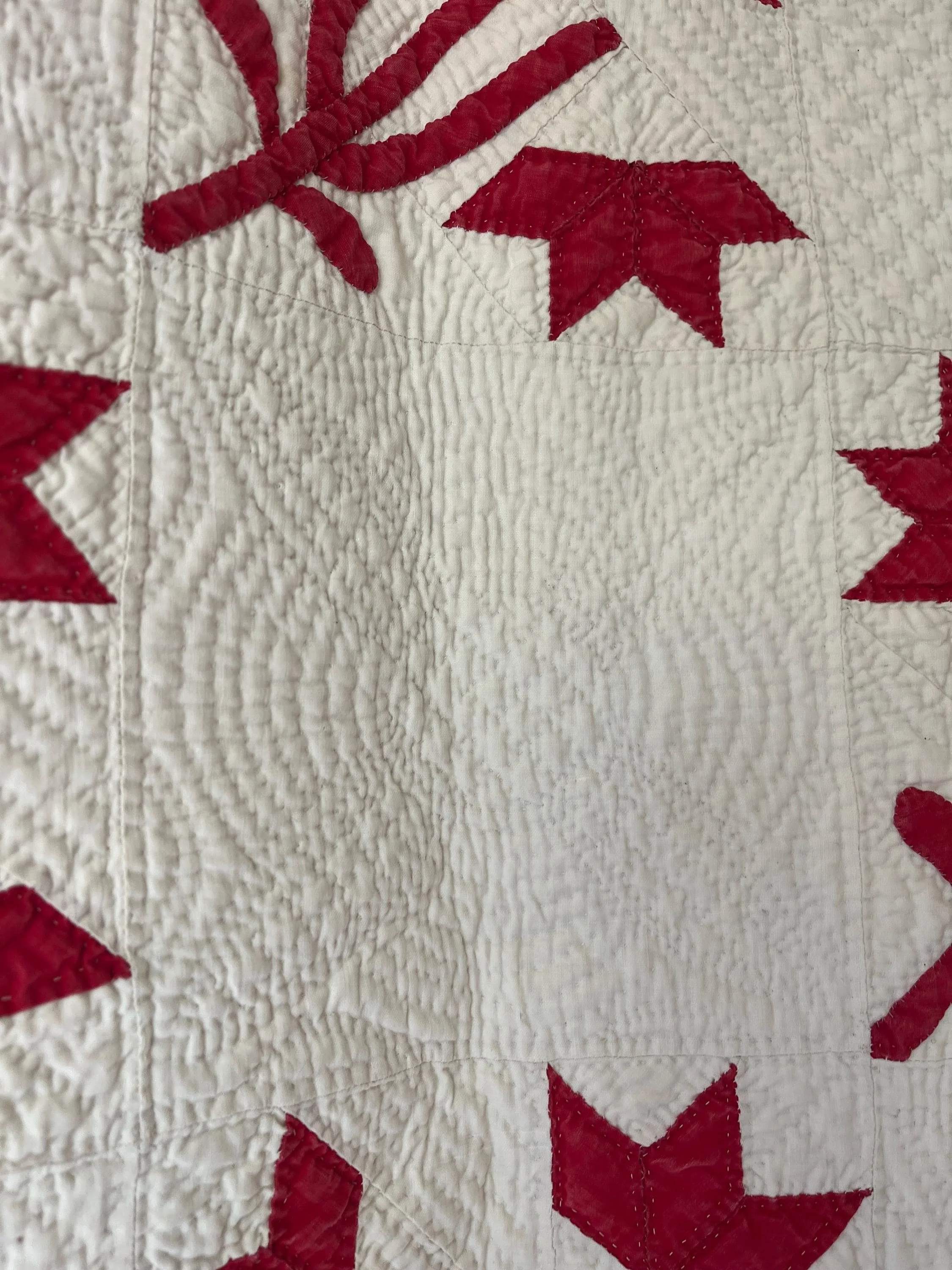 https://i.etsystatic.com/11614172/r/il/144428/8177562579/il_fullxfull.8177562579_sxy6.jpg