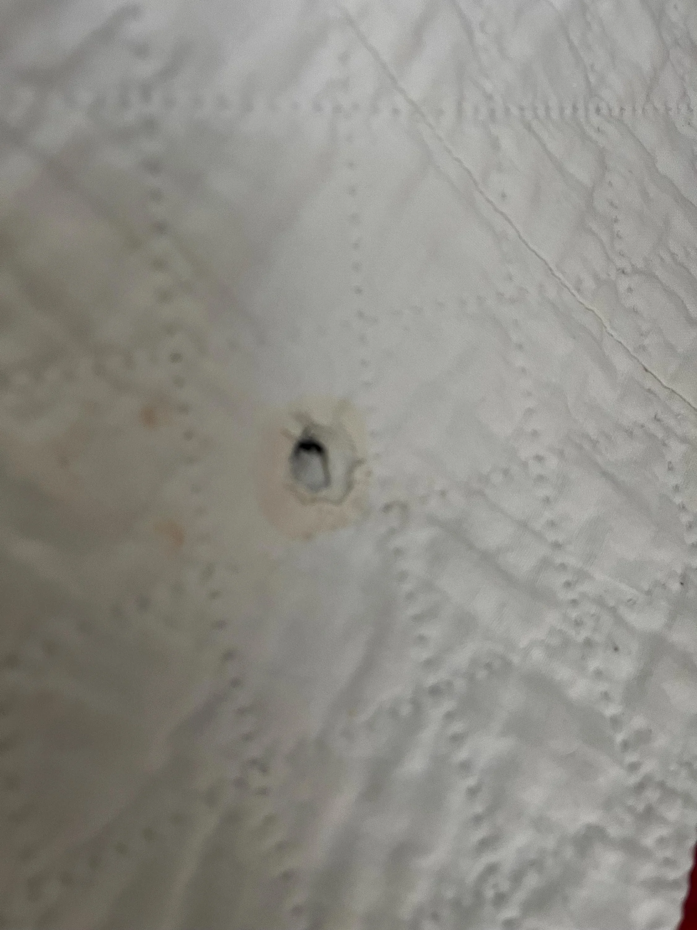 https://i.etsystatic.com/11614172/r/il/519397/8129547564/il_fullxfull.8129547564_g6wd.jpg