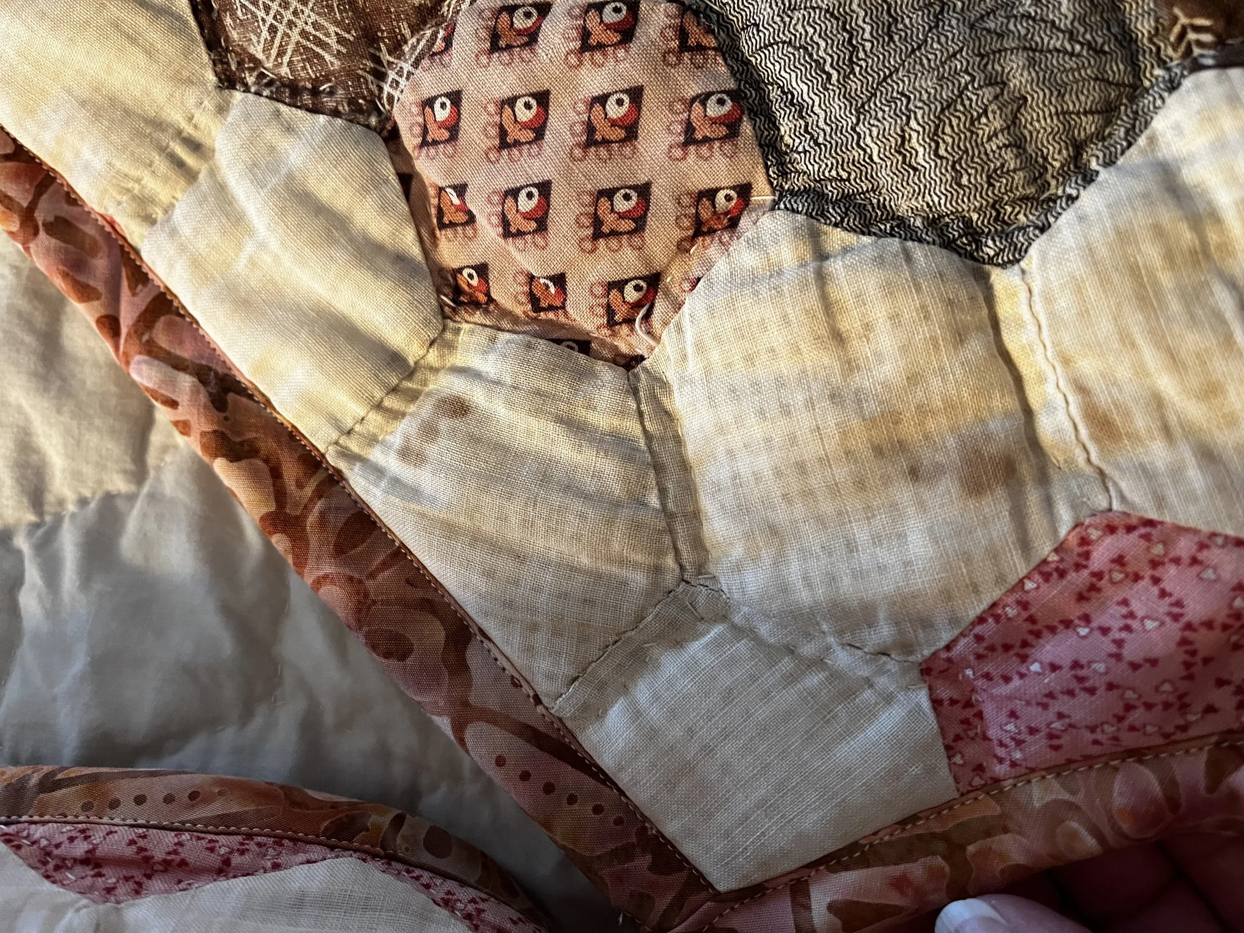 IMG_9011.jpeg (Copy)