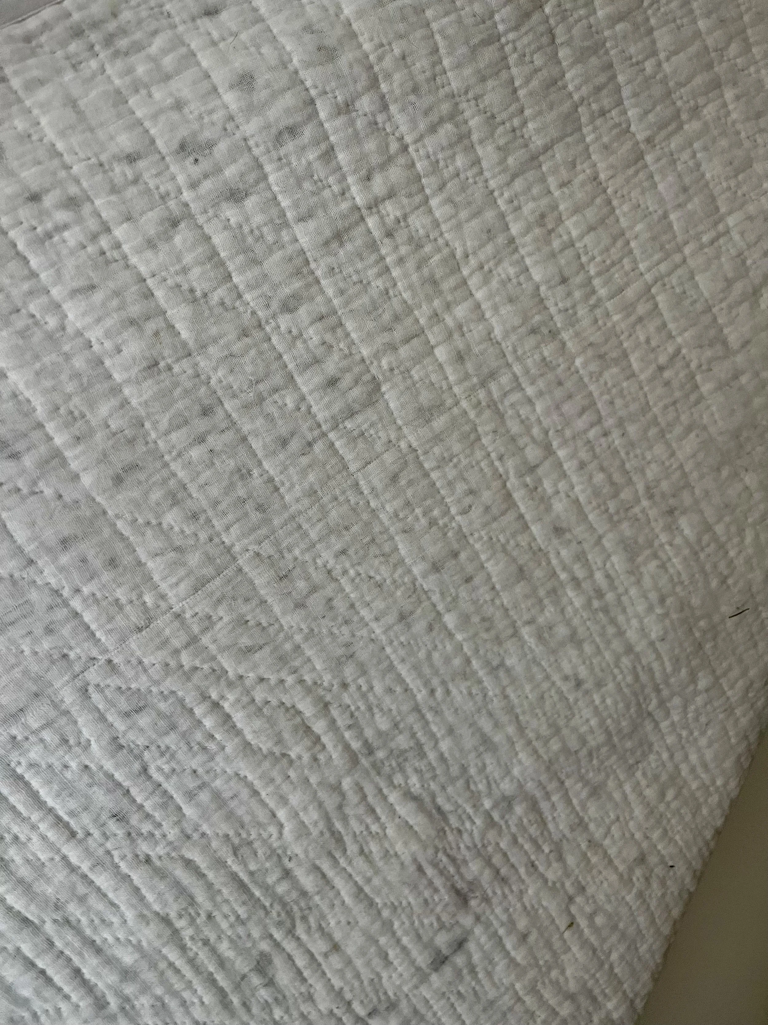 IMG_4026.jpeg