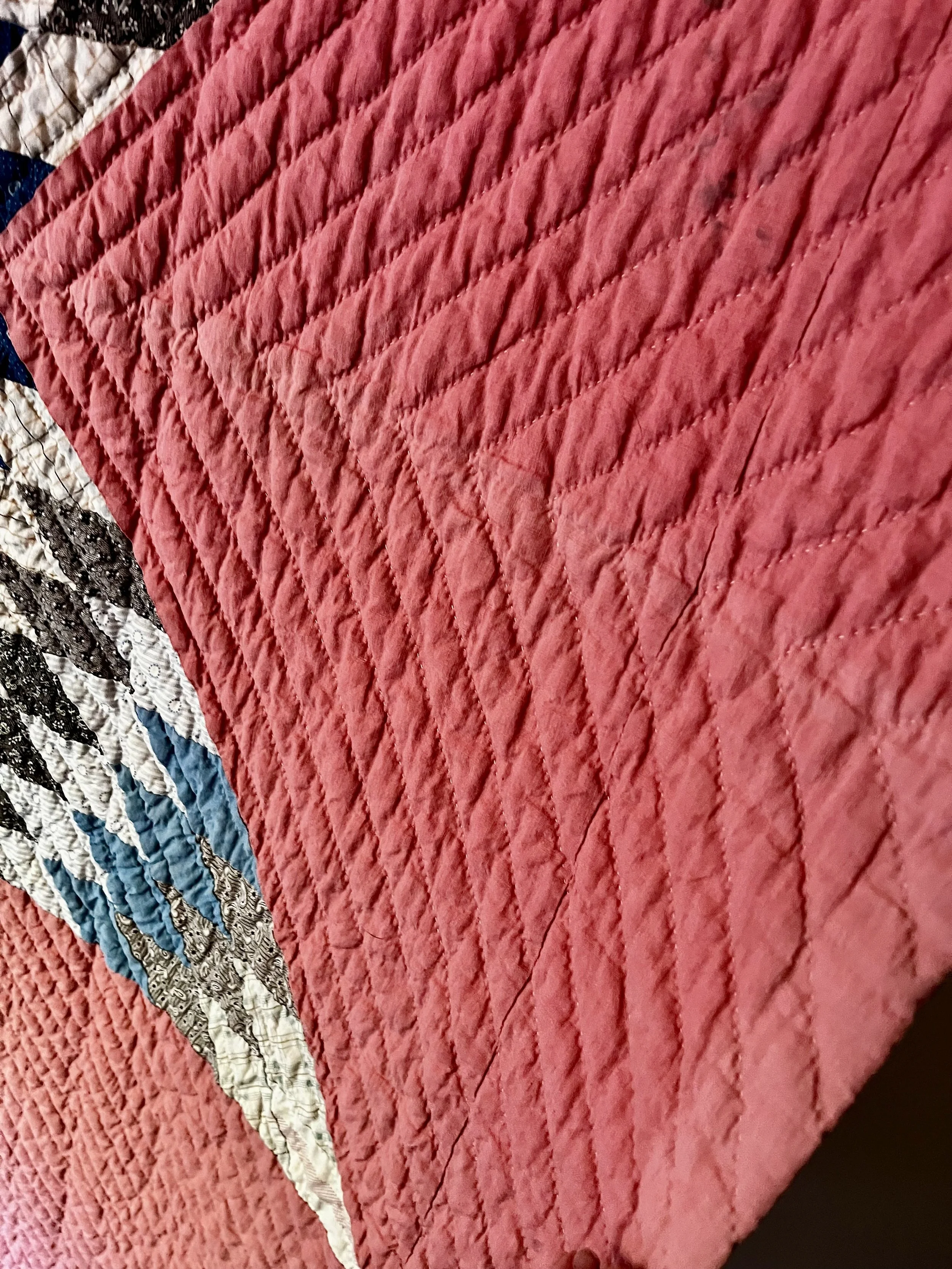 IMG_3517.jpeg