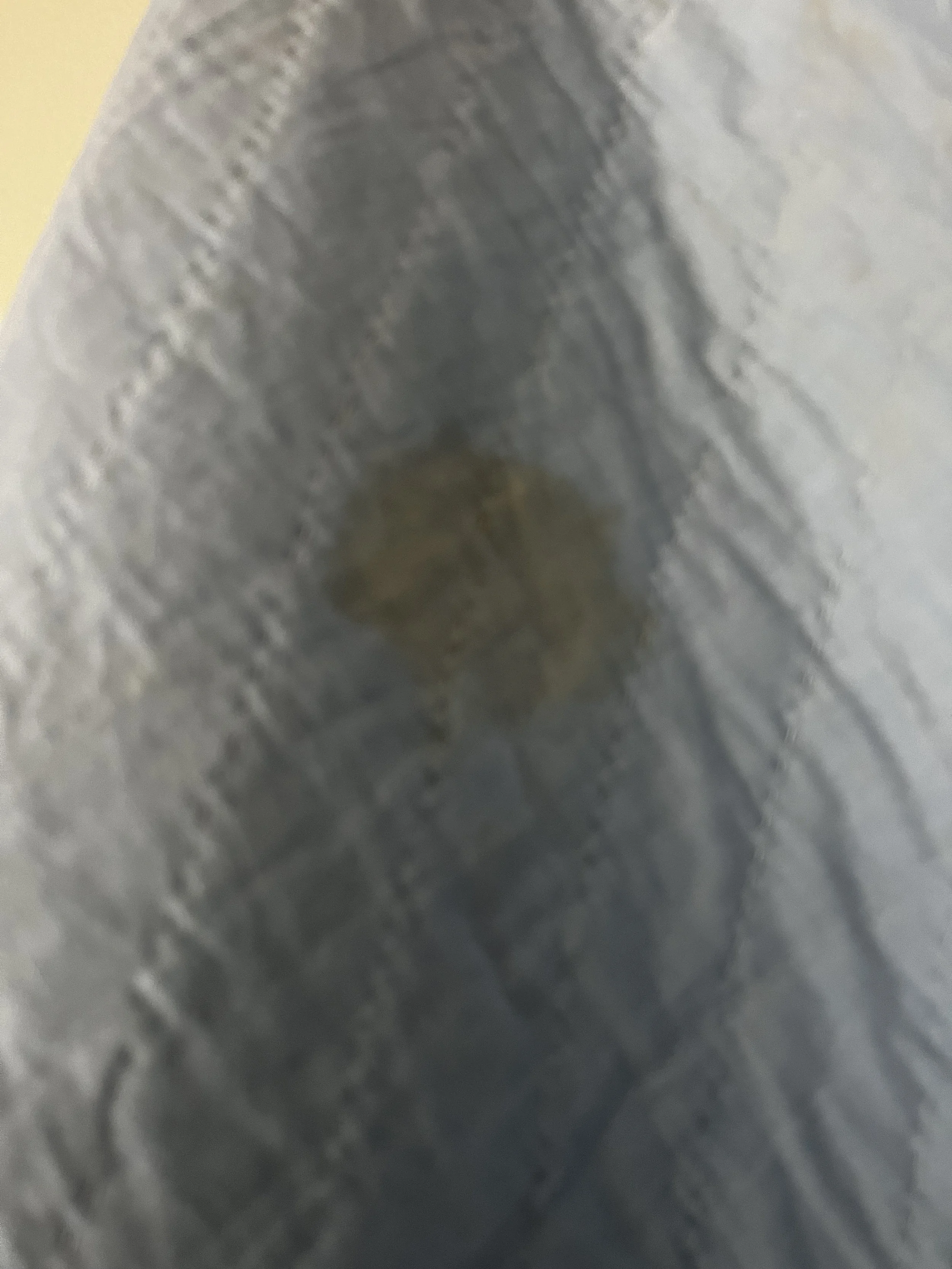 IMG_2063.jpeg