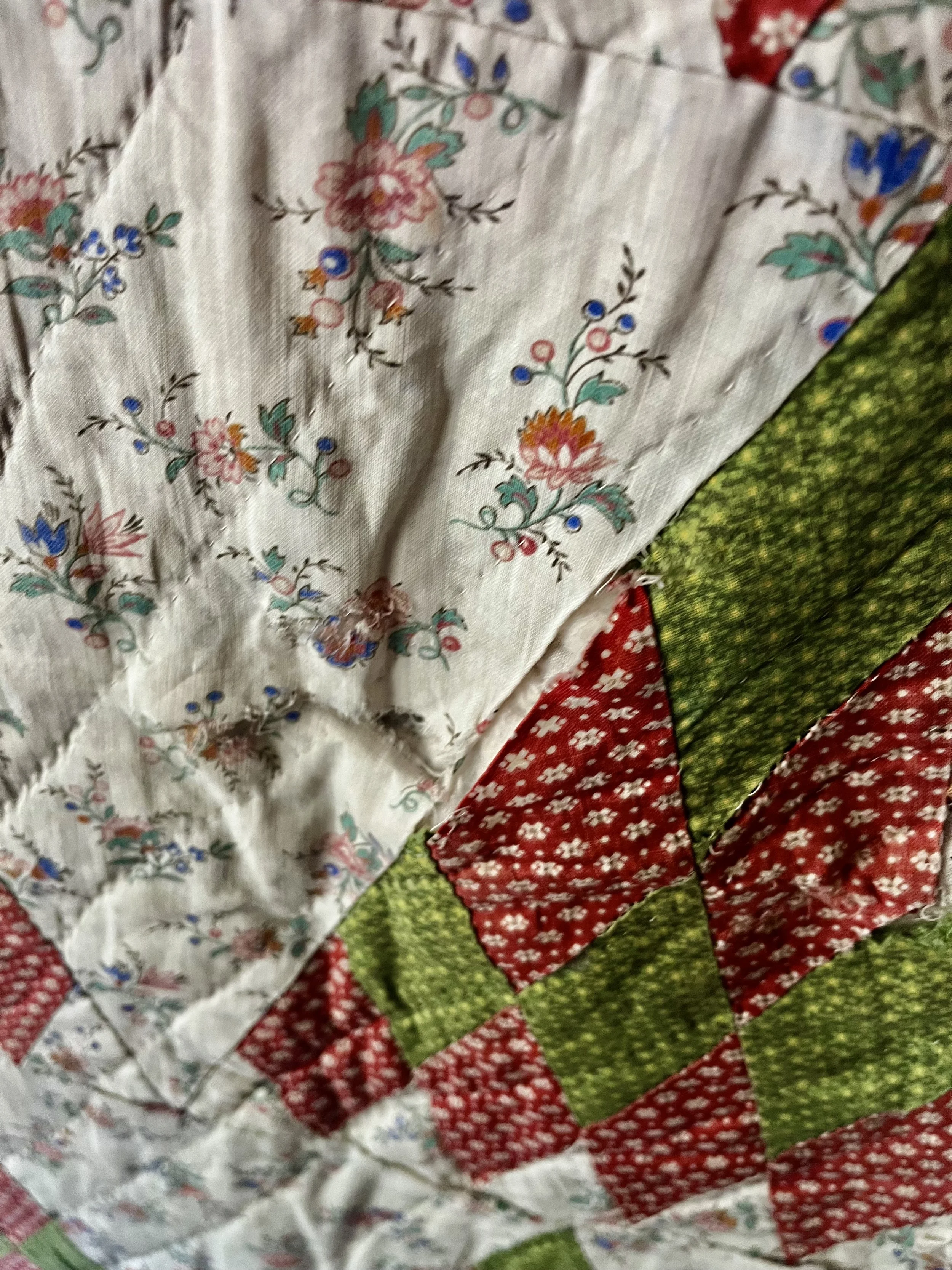 IMG_3145.jpeg
