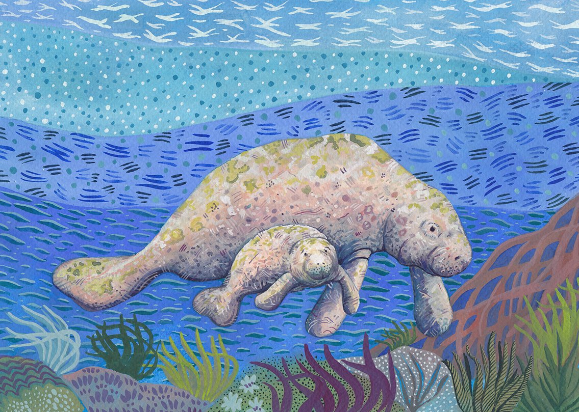 manatee-upload.jpg