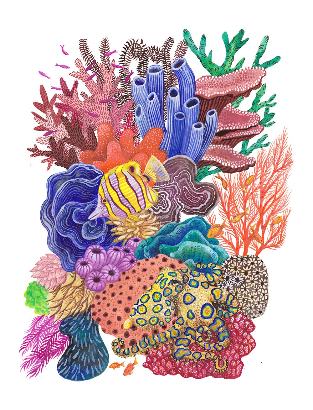 Octopus Garden Web.jpg