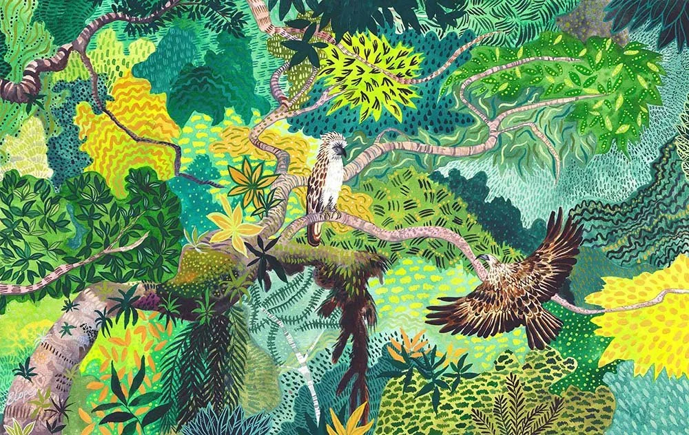 Philippine Eagle, 2020