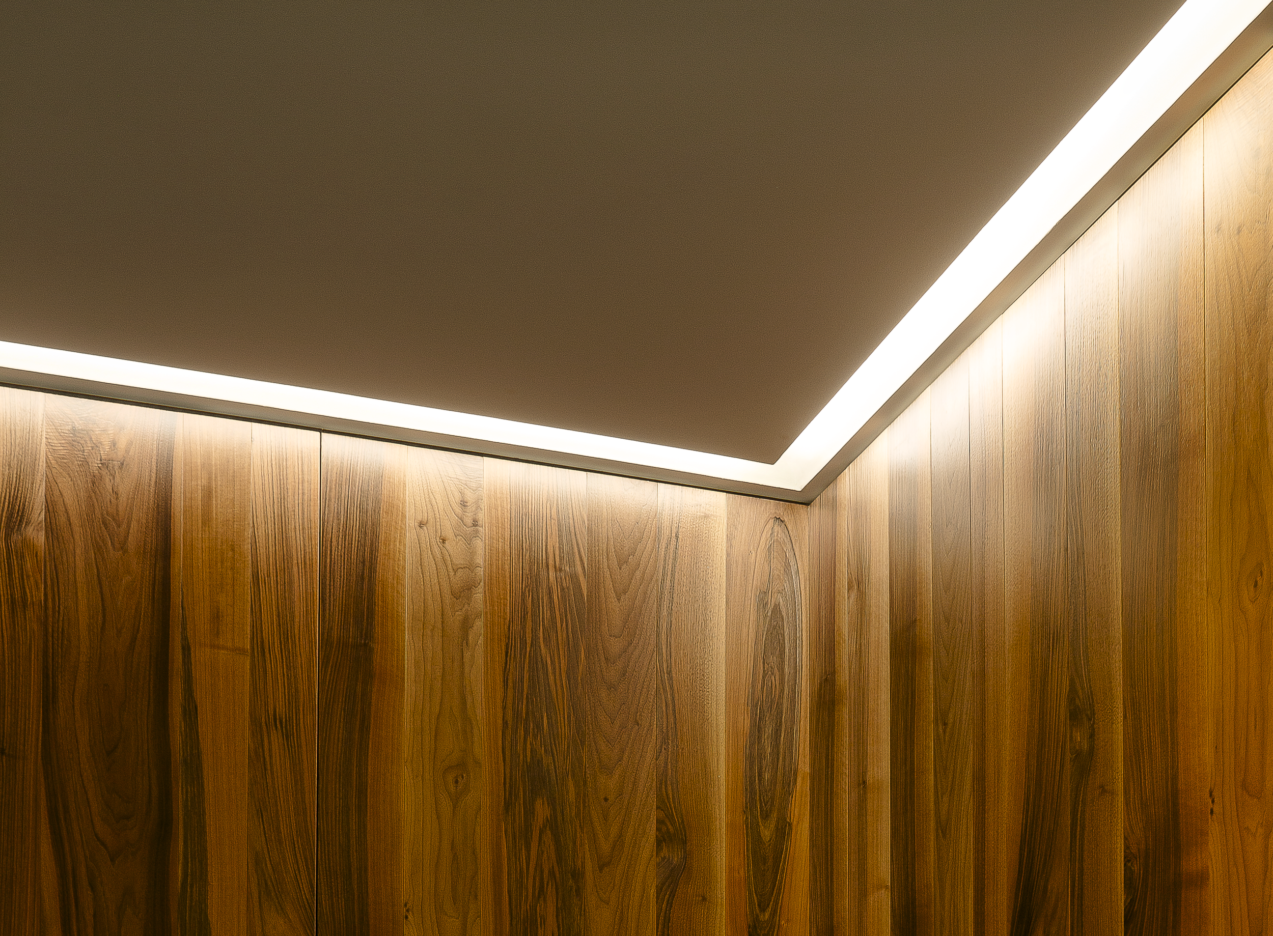 F HOUSE_interno_7v_per sito.png