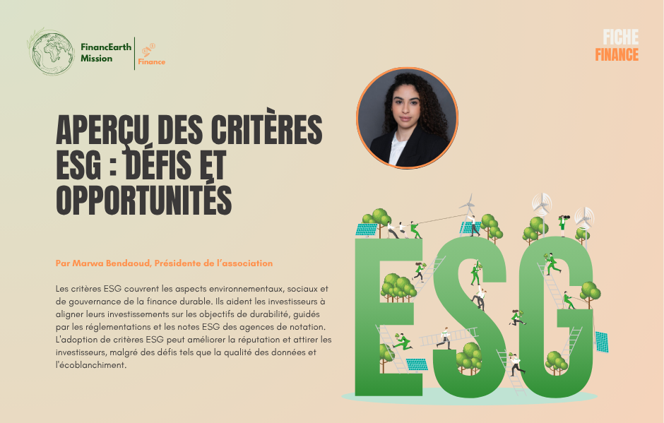 Aperçu des critères ESG : Défis et opportunités