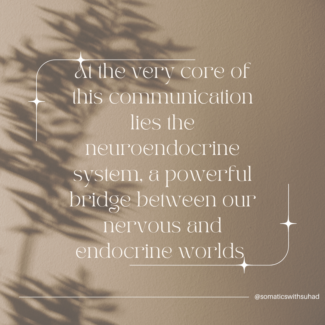 Inspirational quote about the neuroendocrine system on a beige background with shadow of leaves