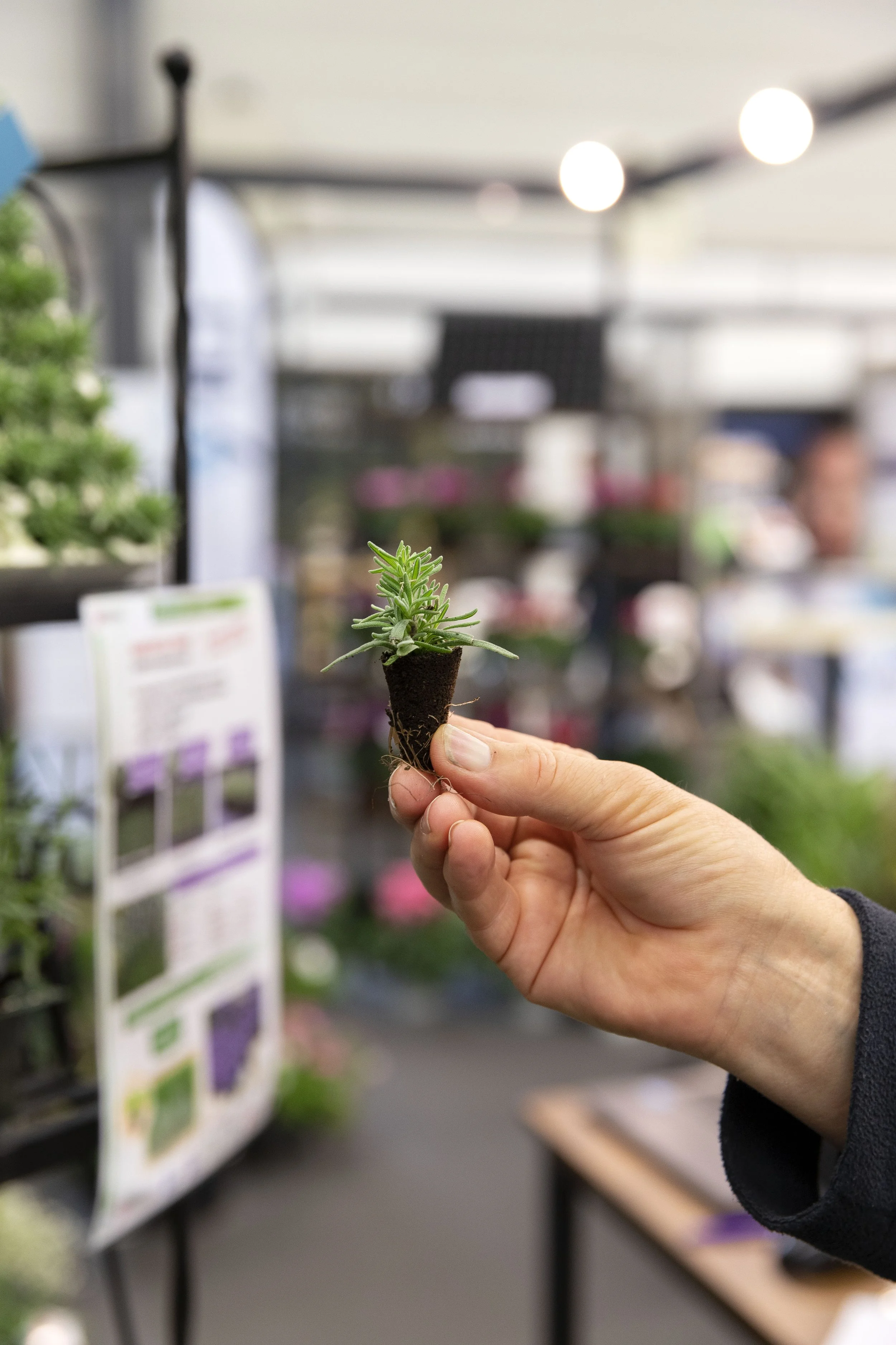 REA_IBSalonVegetal240910_9610.jpg