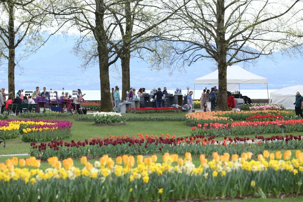 80 potiers dans les tulipes: 2026 