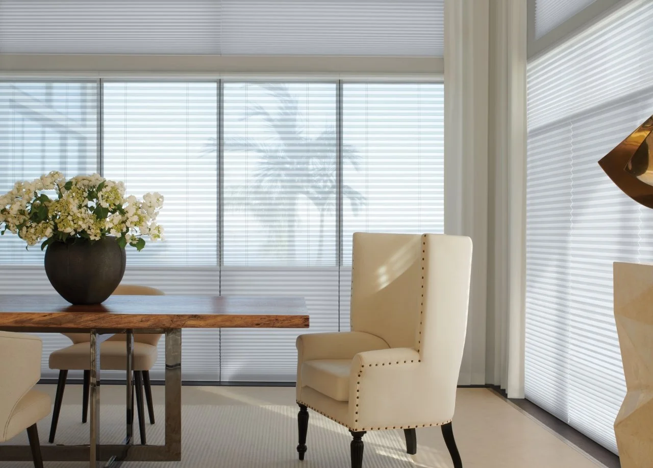 Duette Honeycomb Shades (6).jpg