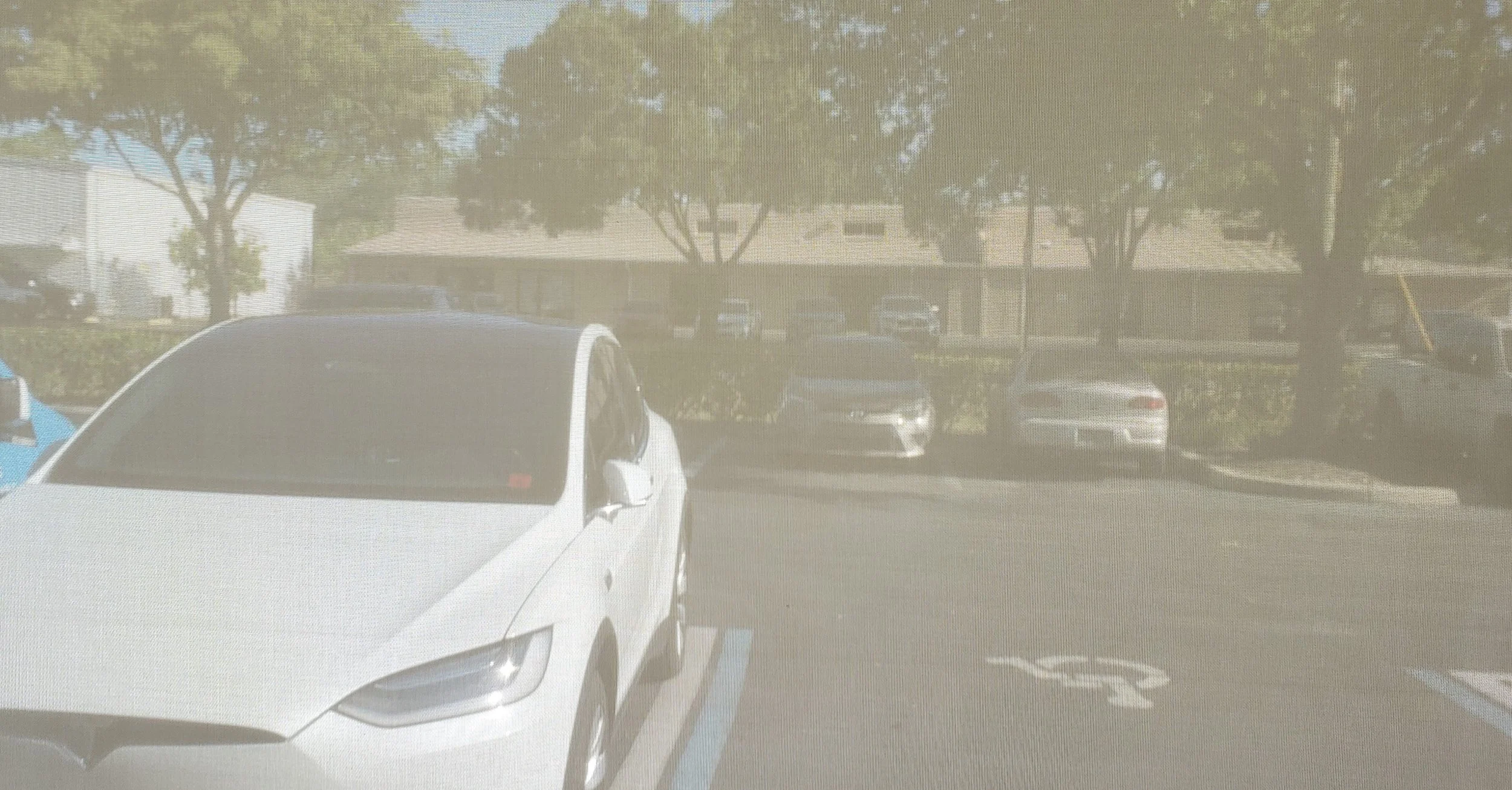 View through a 5% Roller Shade.jpg