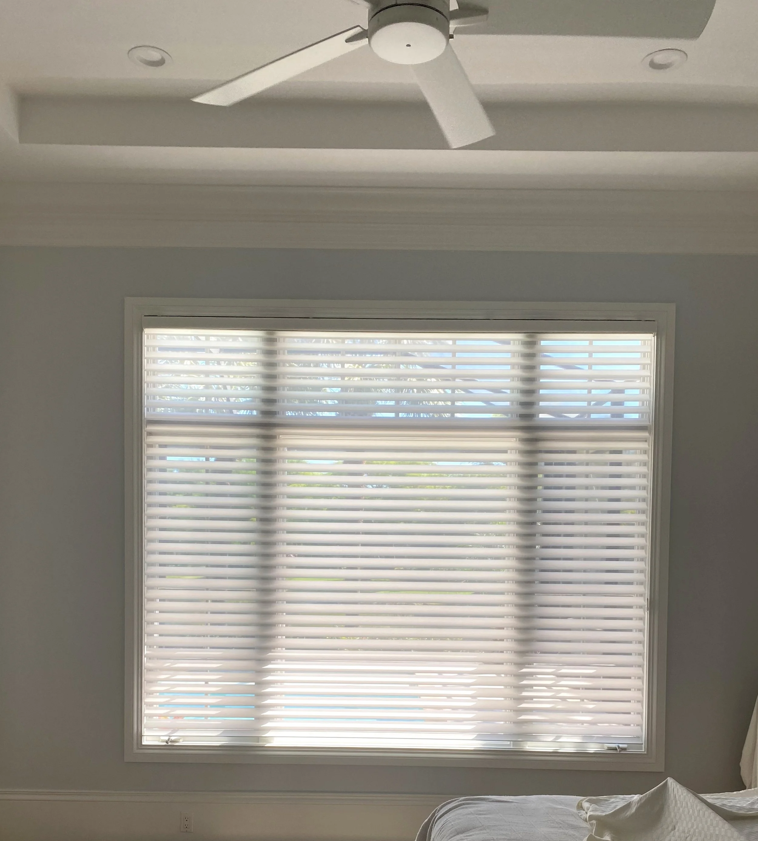 Silhouette in Master Bedroom with 3 inch vanes.jpg