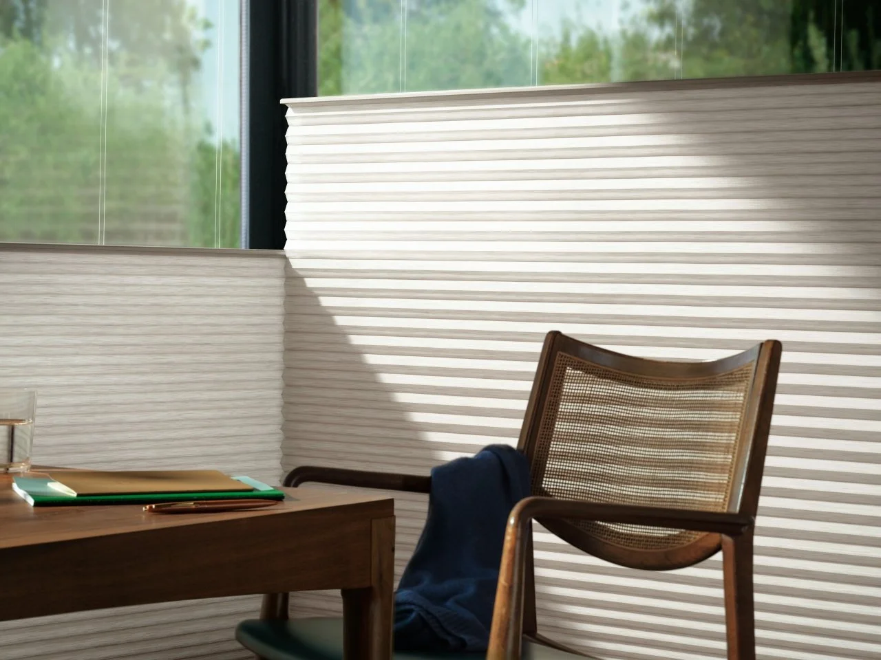 Duette Honeycomb Shades (10).jpg