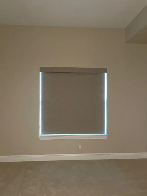 ISMT rollershade with fabric valance.jpg