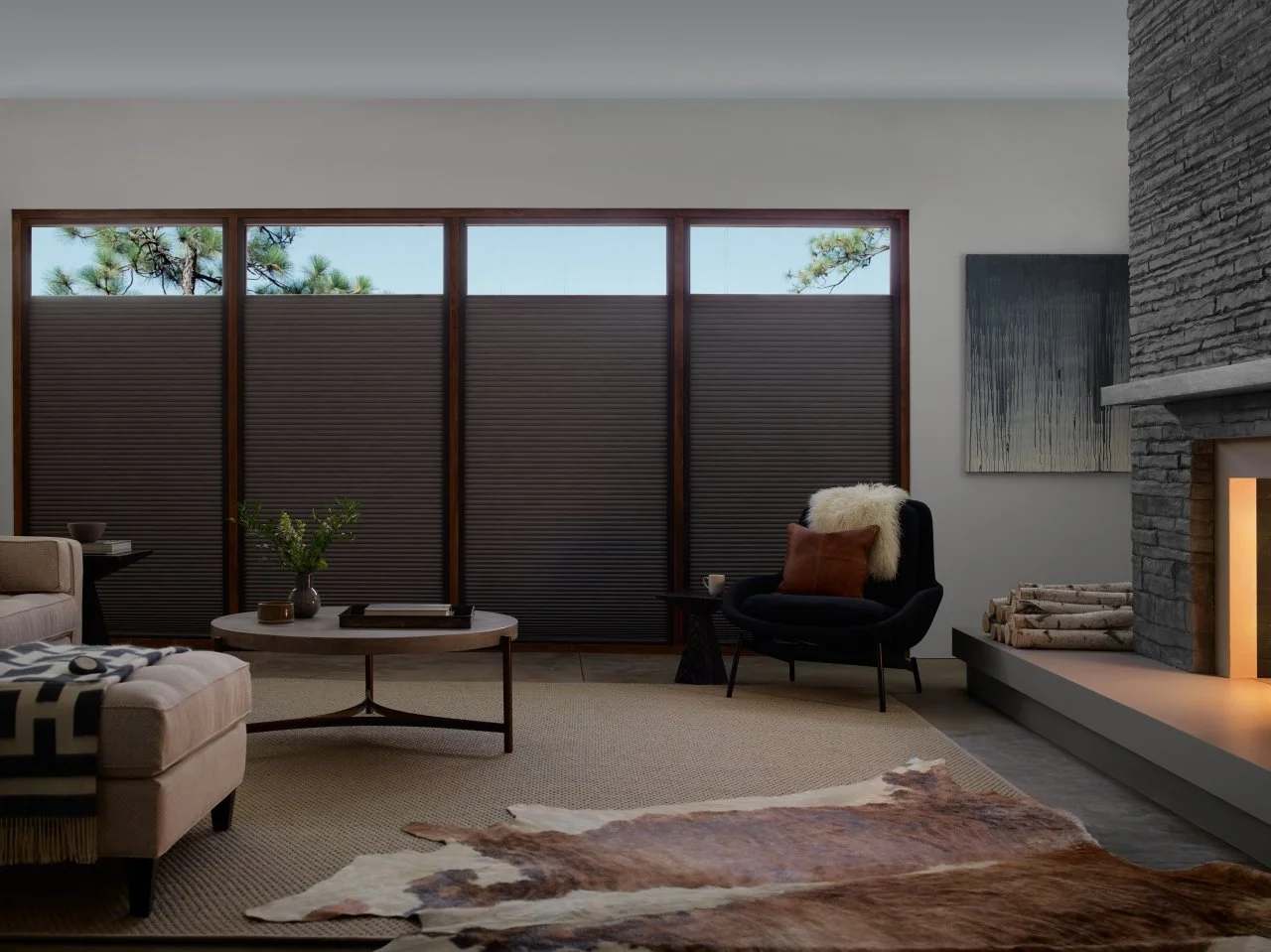 Duette Honeycomb Shades (3).jpg