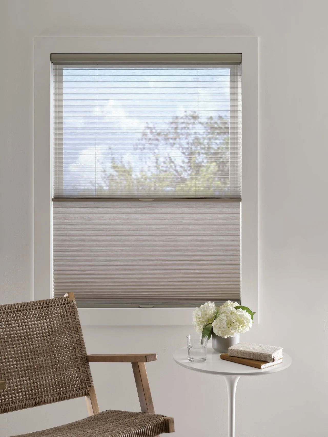 Duette Honeycomb Shades (8).jpg