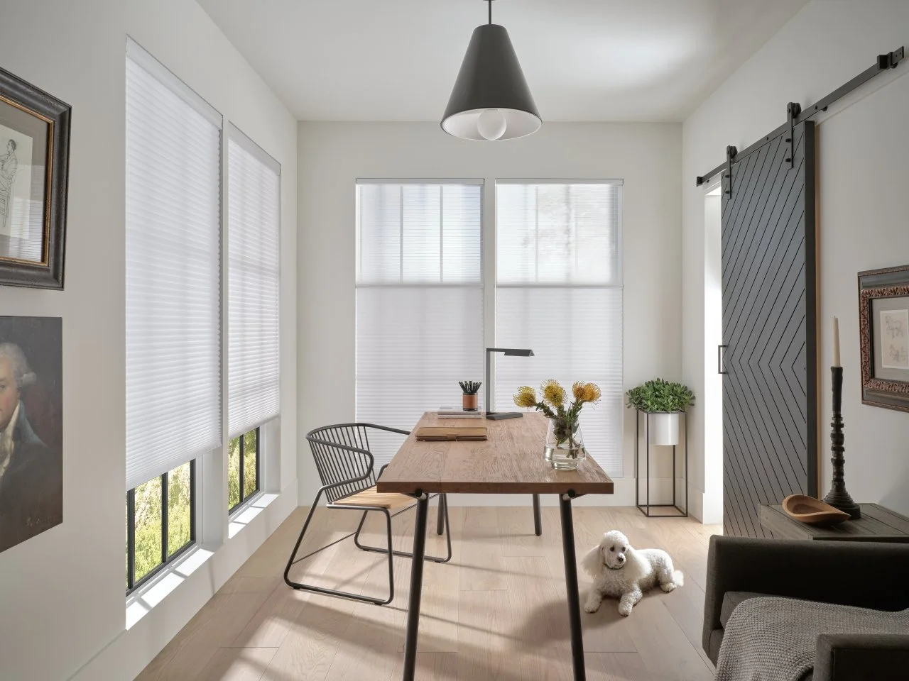 Duette Honeycomb Shades.jpg