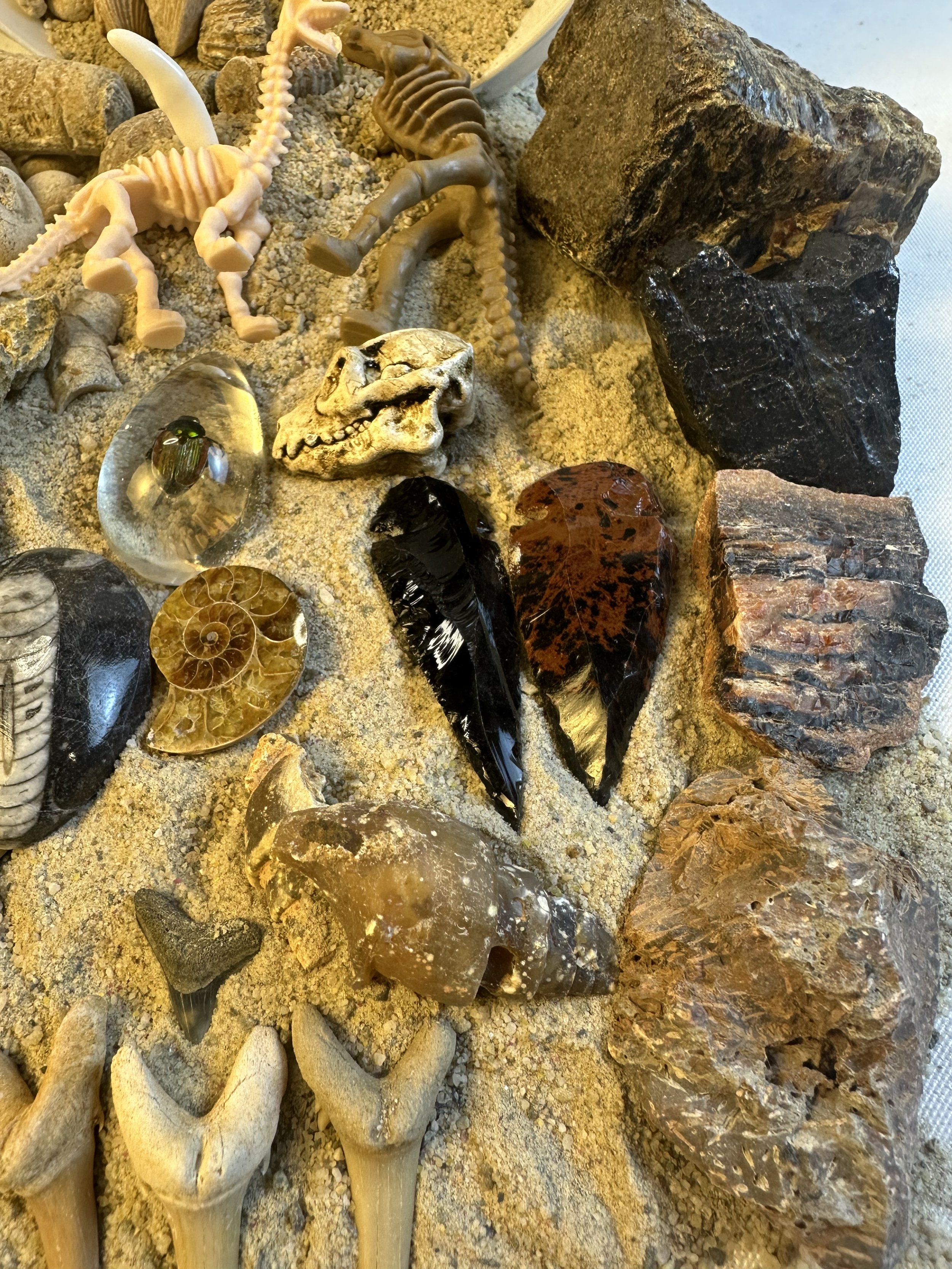 1 1.2 quart fossil bucket 5.jpg