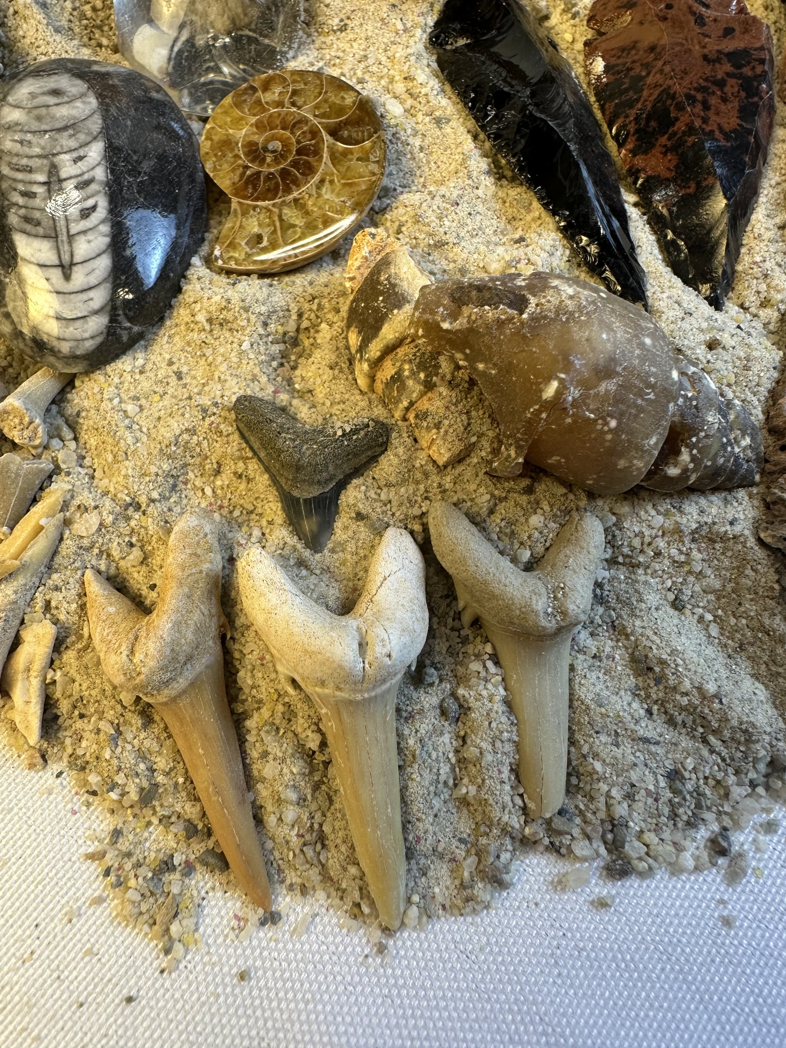 1 1.2 quart fossil bucket 4.jpg