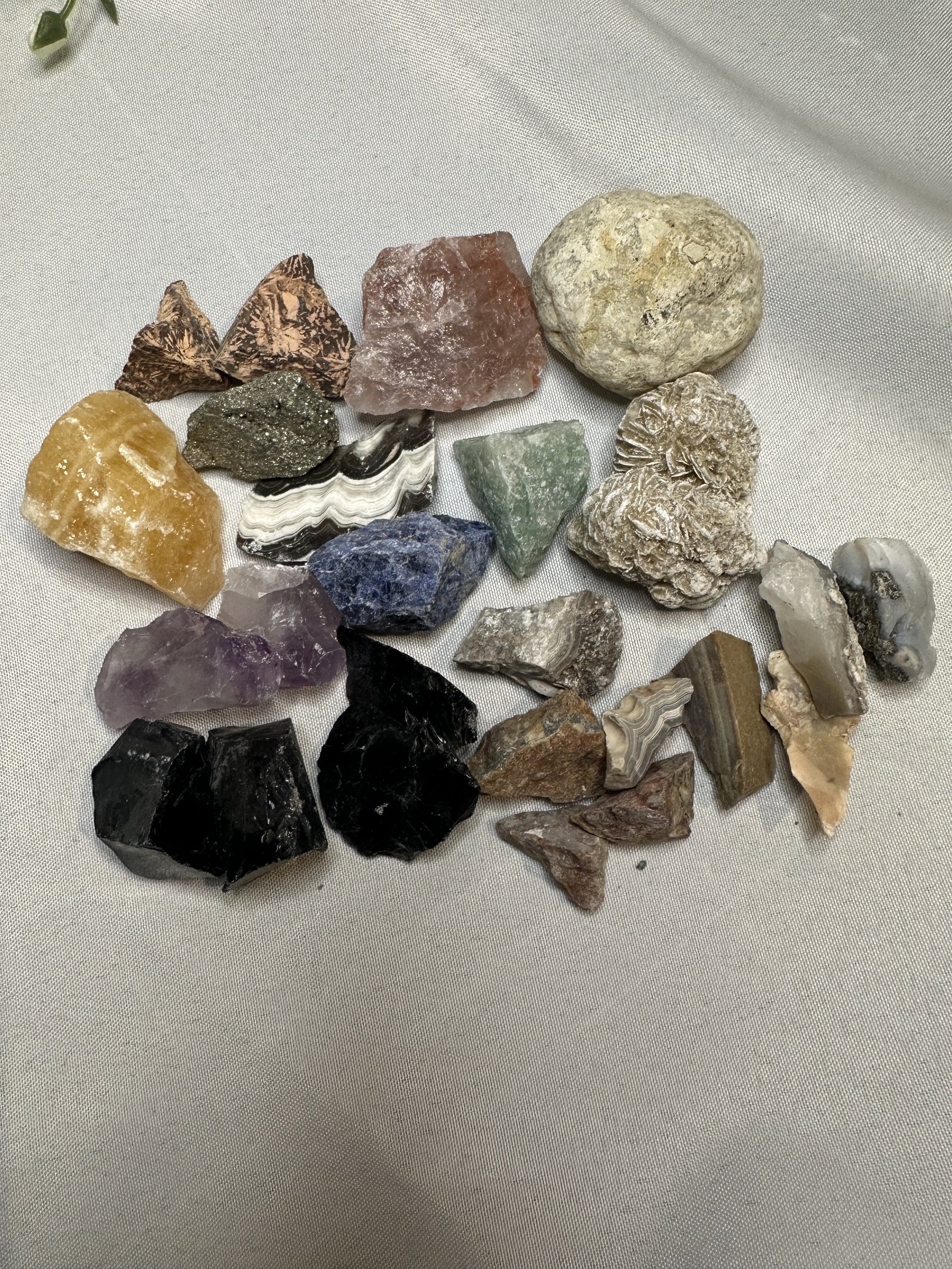 quart mixed 6.jpg