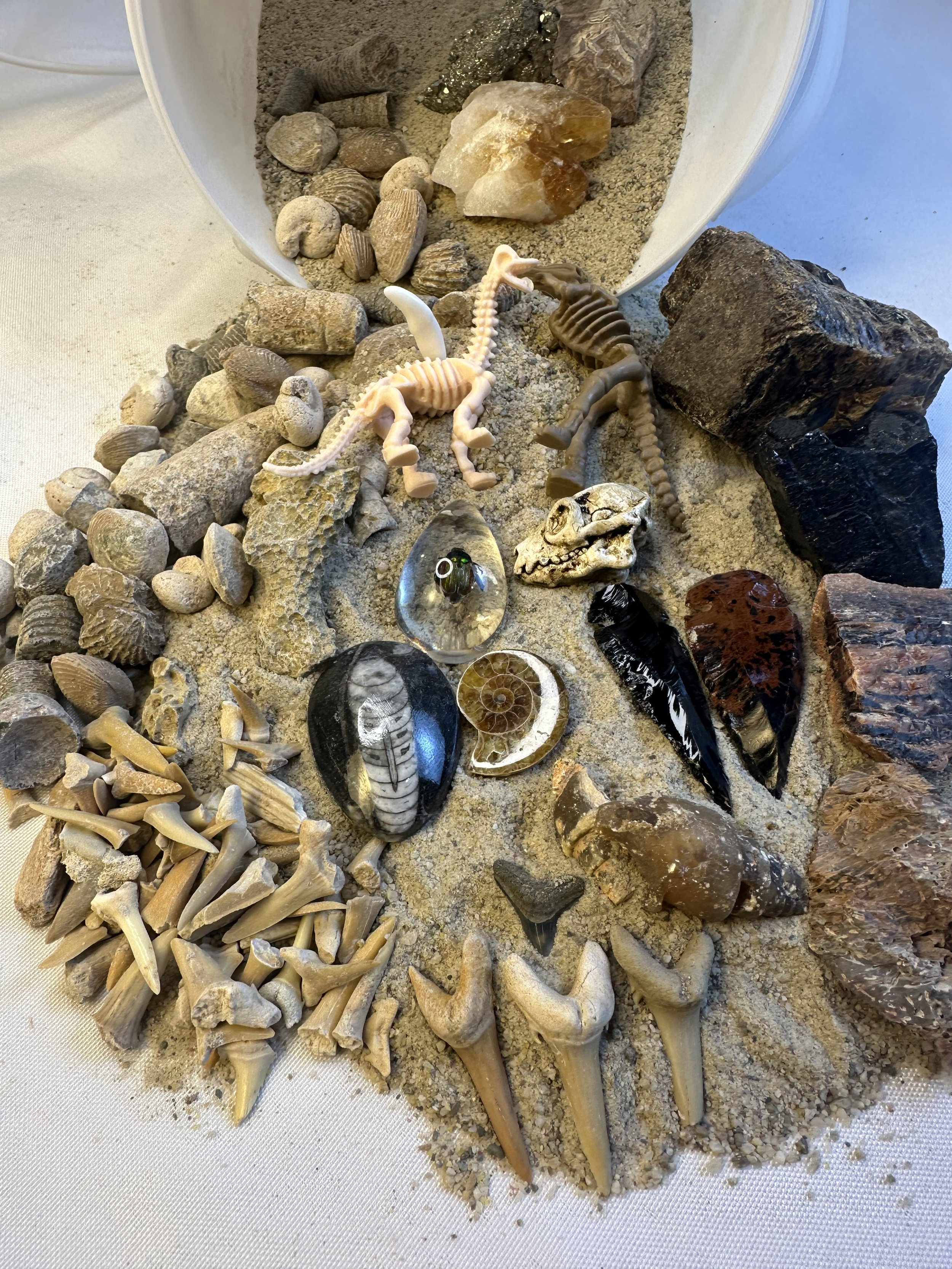 1 1.2 quart fossil bucket.jpg