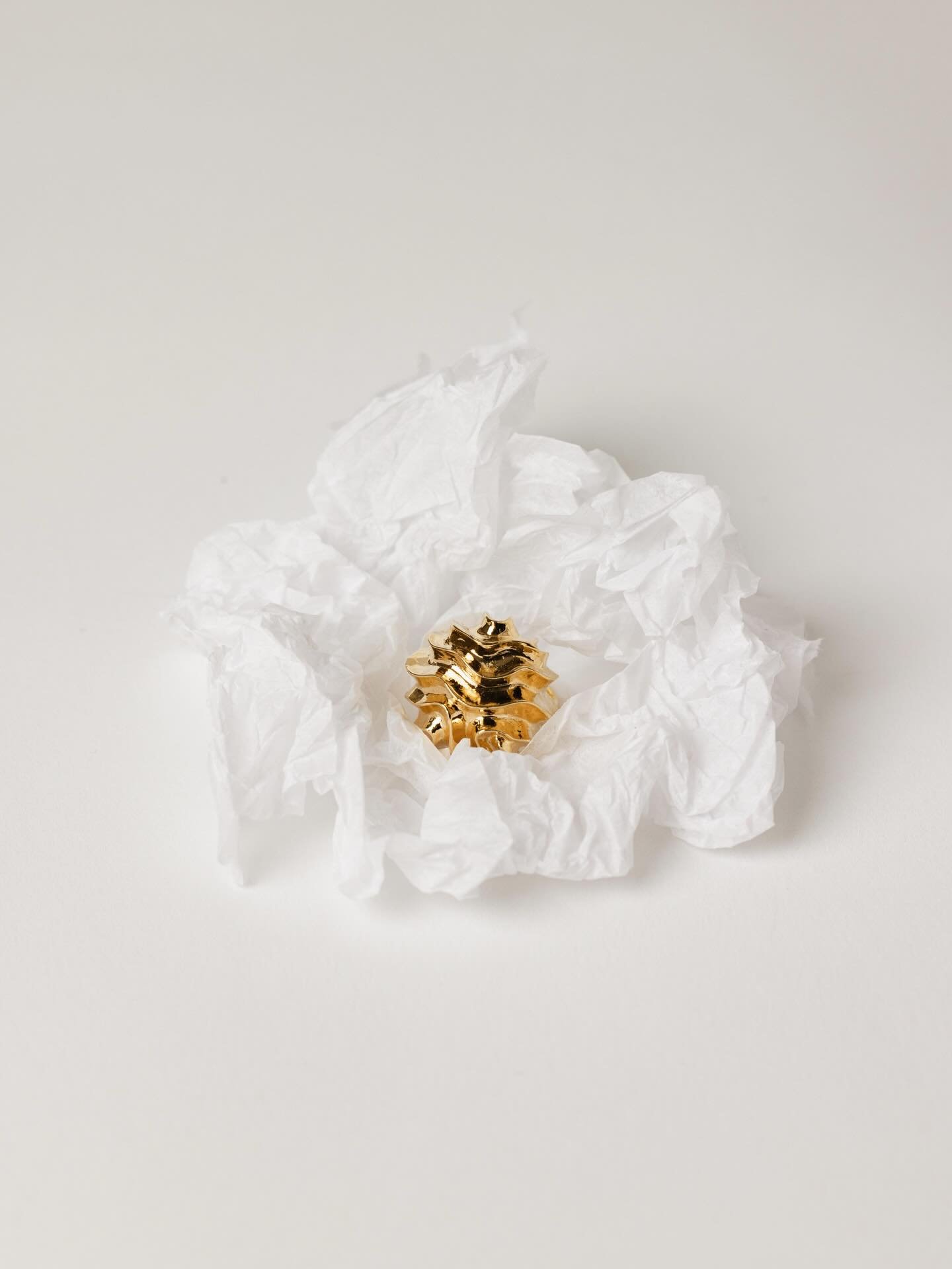 Shooting natures mortes en studio + set design pour @beurlie.officiel 
.
#brandcontent 
#photographeproduit 
#setdesignphotography 

photographe mode | photographe commerciale | brand photography | photographe bijoux | nature morte | 
brand content |