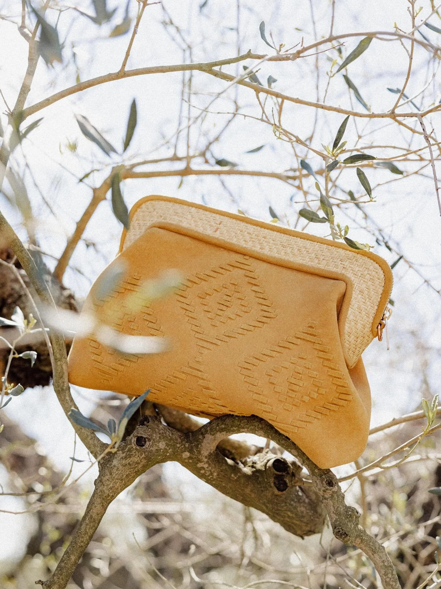 Focus produit au milieu des oliviers 📸
@maradji.collections 
.
#brandcontent 
#photographeproduit 
#setdesignphotography 

photographe mode | photographe commerciale | brand photography | photographe bijoux | nature morte | 
brand content | shooting