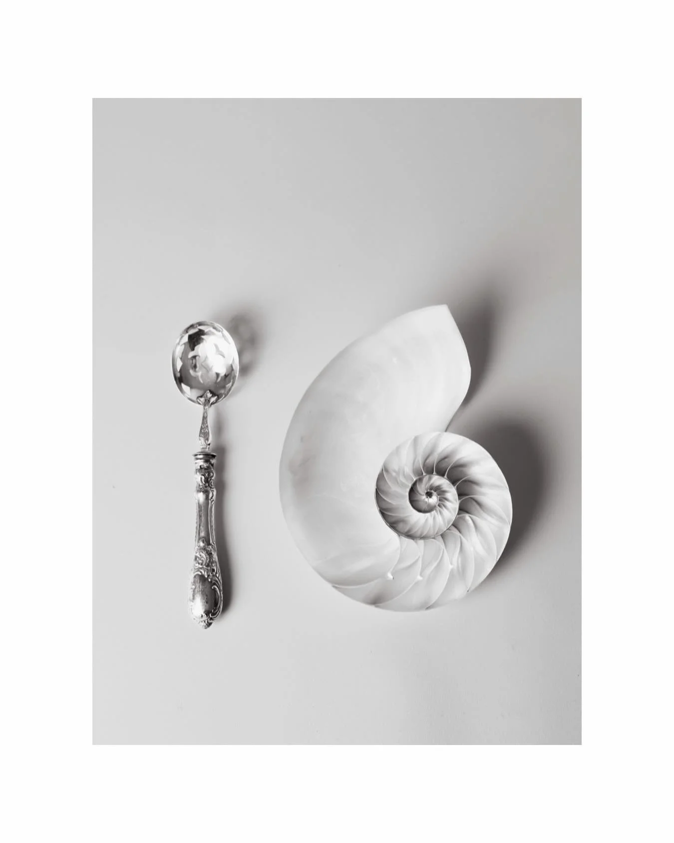 New props 👌🏻 (ma passion pour les nautiles se poursuit...)
.
photographe mode | photographe commerciale | brand photography | photographe bijoux | nature morte | 
brand content | shooting photo | set design | set designer | photographe produit | vi