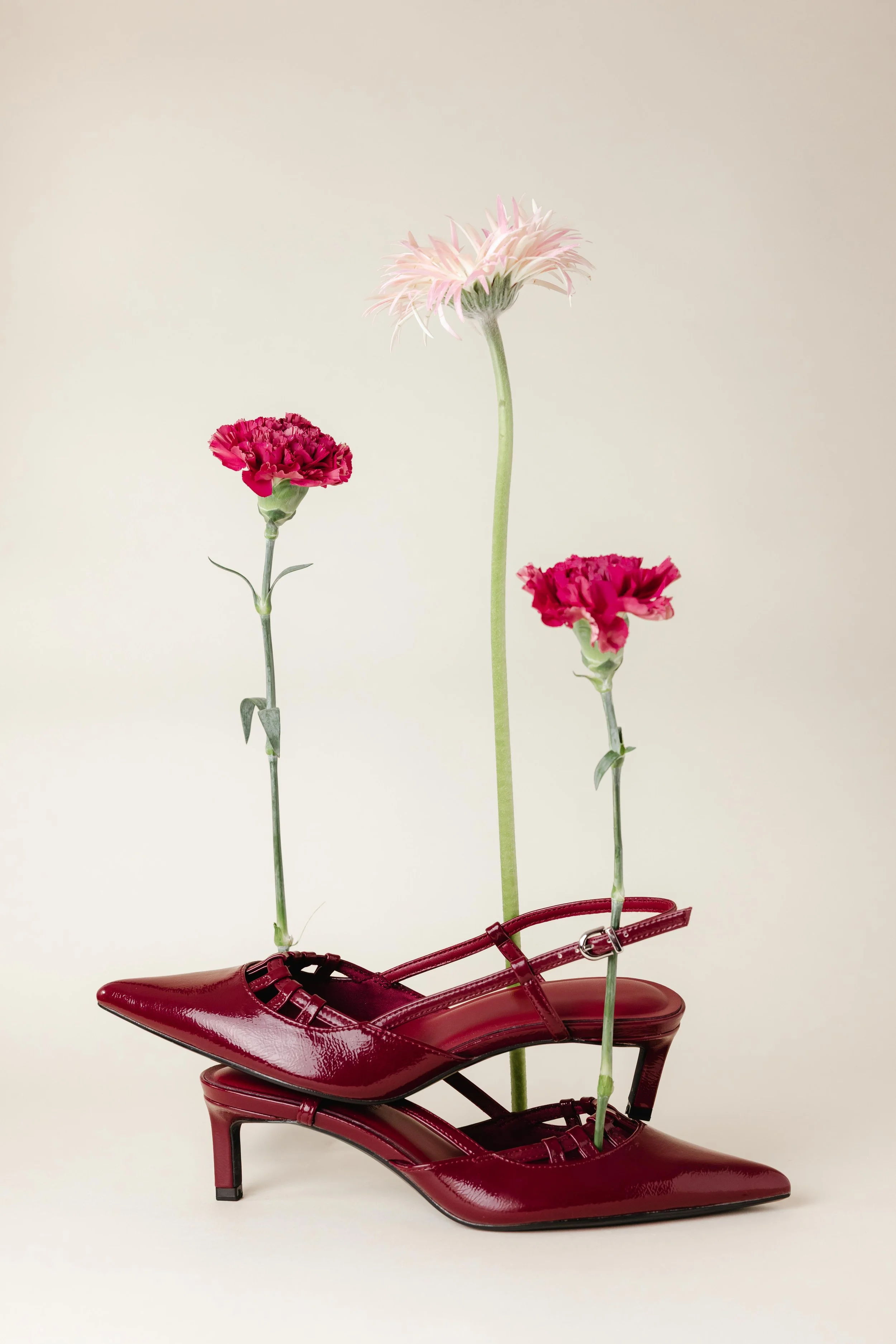 Nature morte d'une paire de chaussures entourée de fleurs